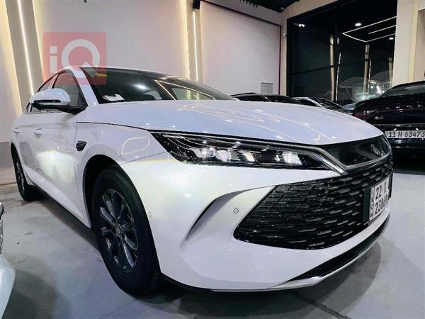 بی وای دی کوێن L DM-i 2025  بۆ فرۆشتن لە عێراق - نەجەف